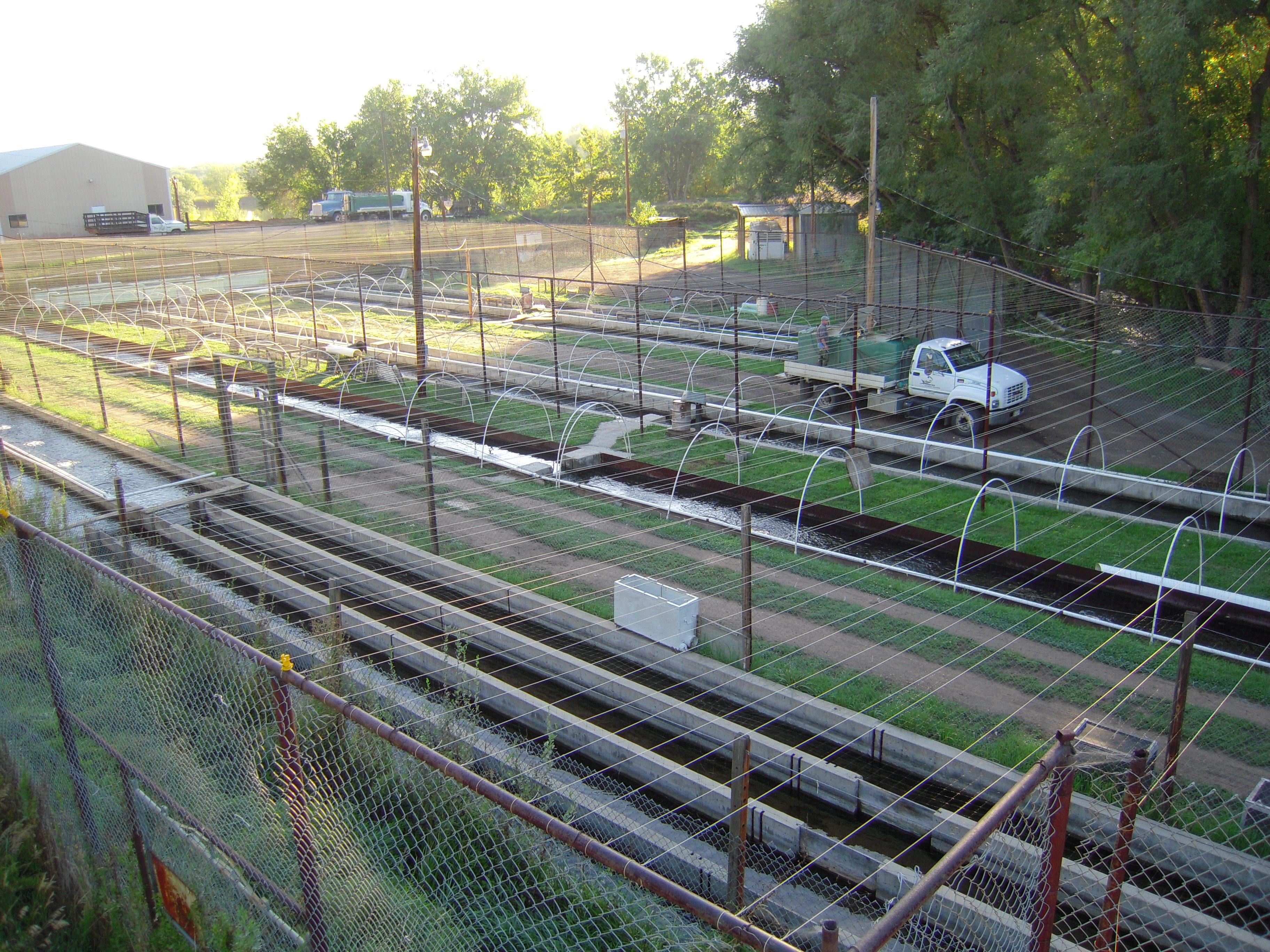 Aquaculture farm in Boulder, Colorado. Photo: