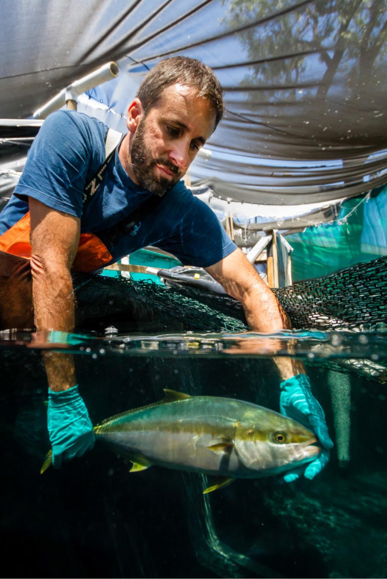 Egg Quality Measures - reaching into trout tank